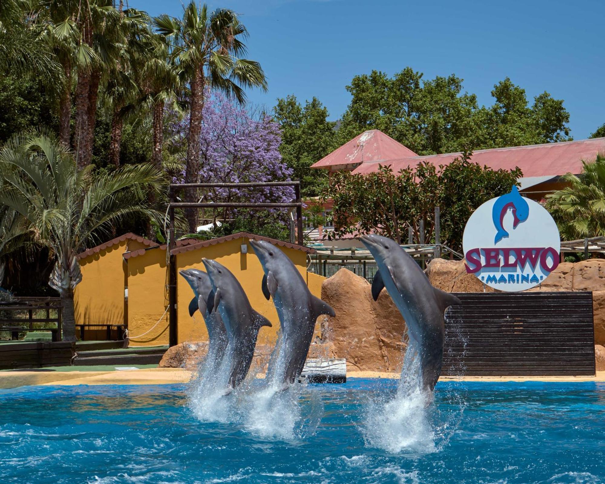 Apart With Swimming Pool Open All Year Бенальмадена Екстер'єр фото